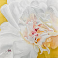 Peony