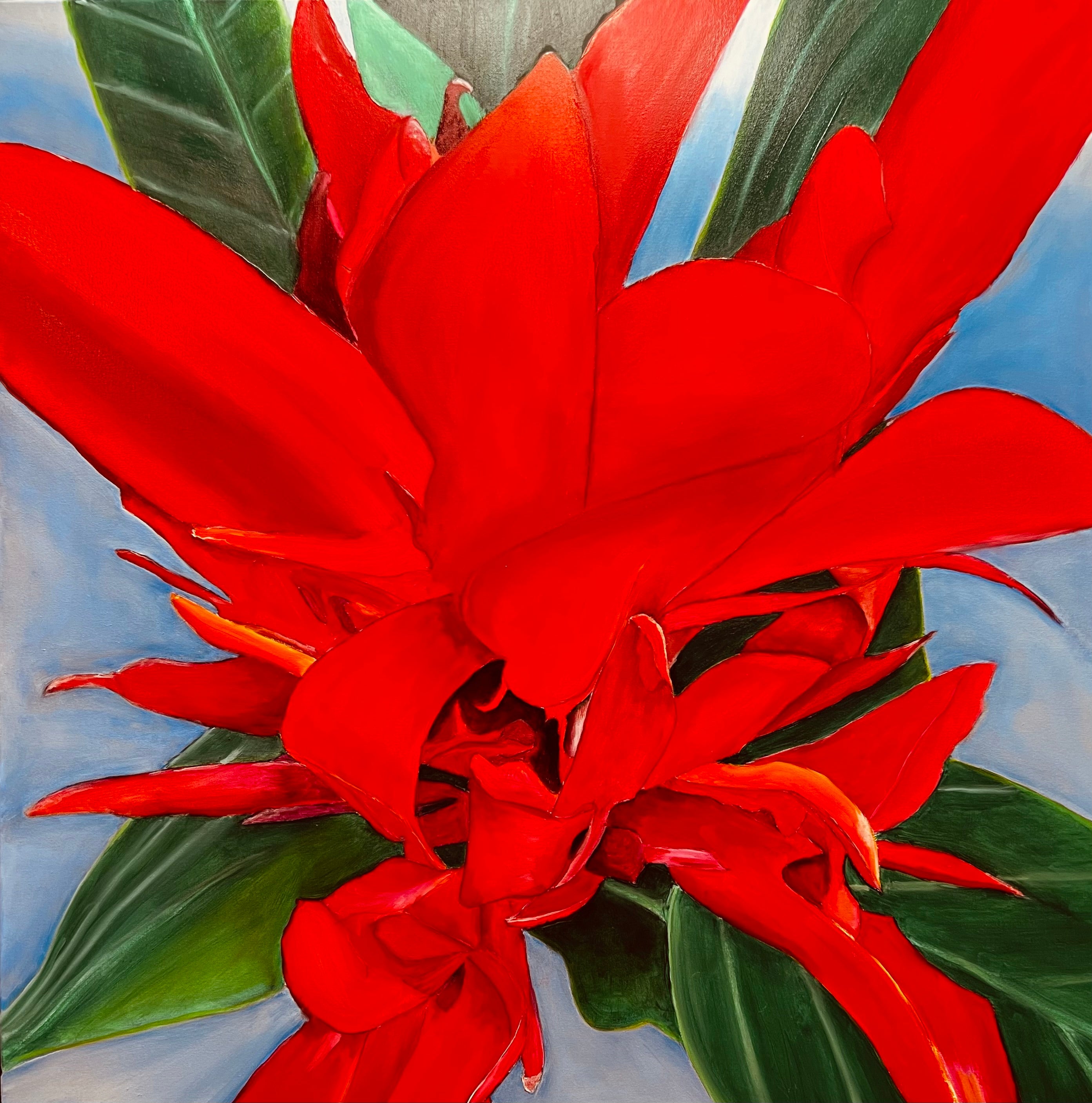 Backyard Canna