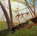 A Walk in the Hill Country