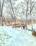 Winter on Rice Creek