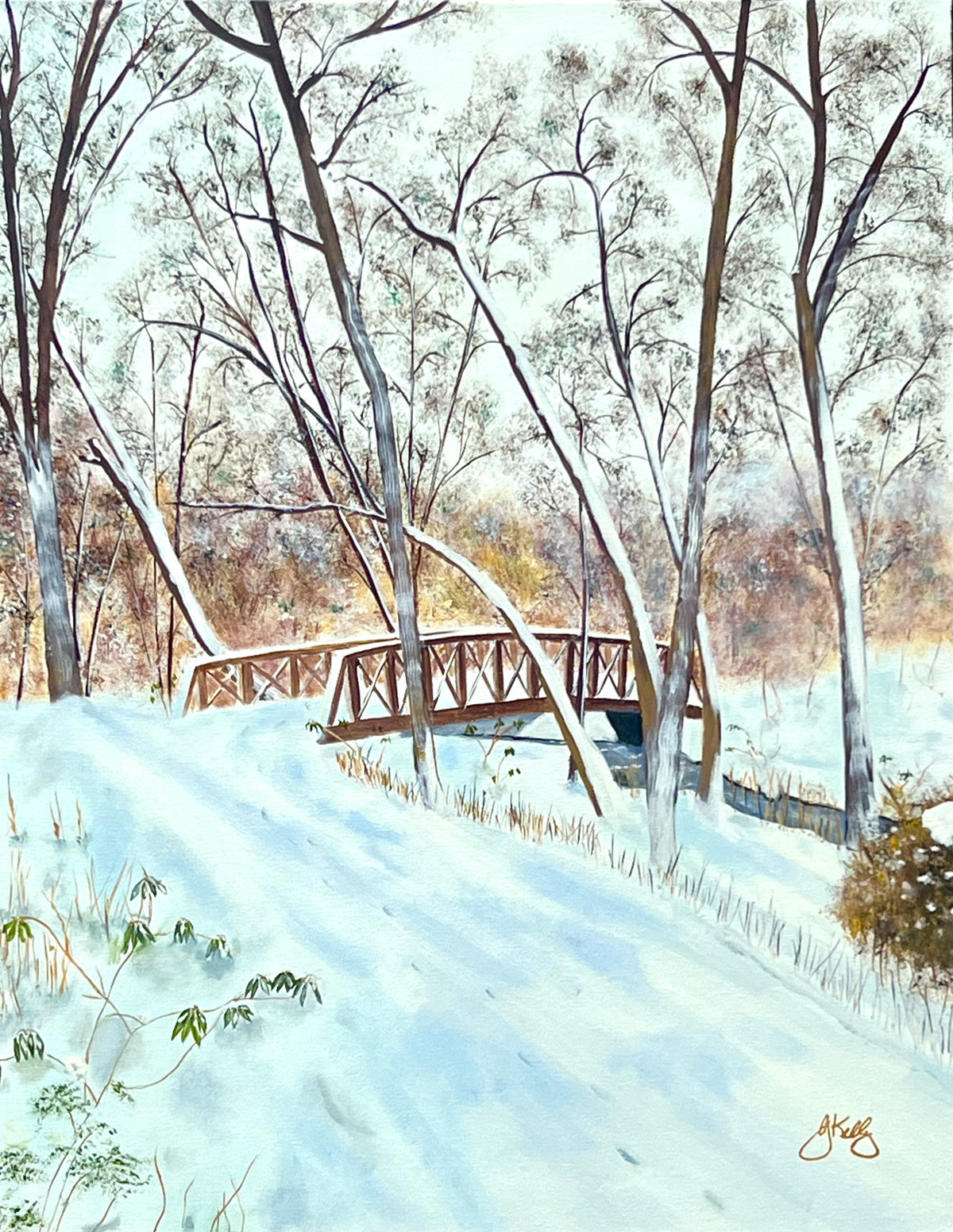 Winter on Rice Creek